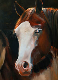 oil painting of horse with Splash White
